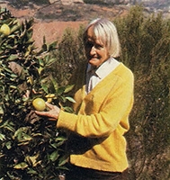 Quincy John is rightly proud of the more than 40 productive fruit trees that cover the formerly "useless" rocky hillside overlooking the San Diego Freeway,